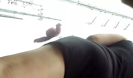 سو يحب أن يمارس افلام جنس سكس اجنبي الجنس