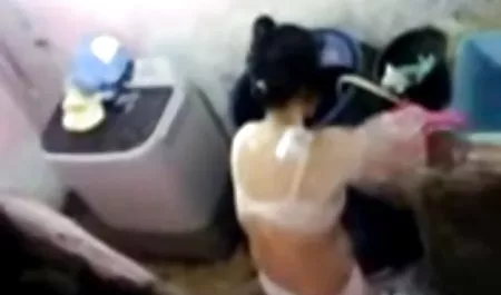 صديقة العربية للهواة تمتص و الملاعين جنس عربى مترجم