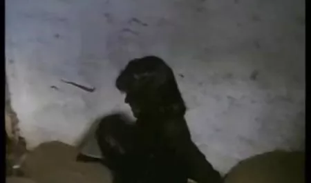 اختراق سكس اجنبي جنس مزدوج ضيق مع لعبة