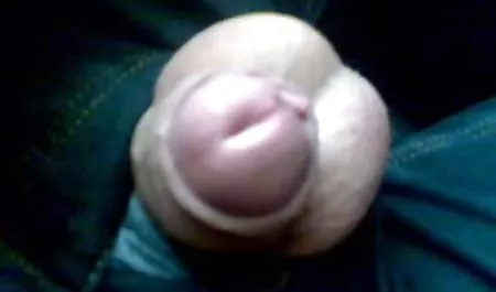 فاتنة لاتينا سكارليت بانكس جنس فموي اجنبي تفسح المجال لرأس الديك الأبيض الكبير